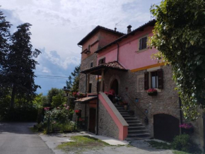B&B Camelia